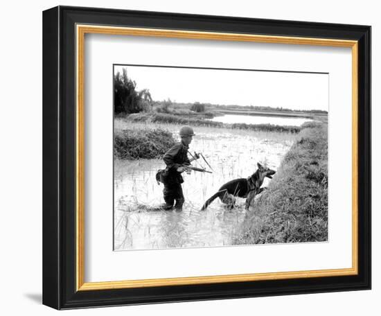 Dogs in Vietnam-Associated Press-Framed Photographic Print