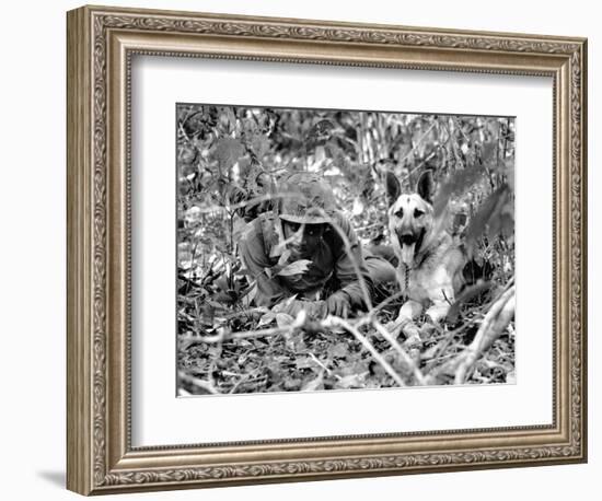 Dogs in Vietnam-Associated Press-Framed Photographic Print