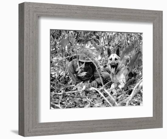 Dogs in Vietnam-Associated Press-Framed Photographic Print