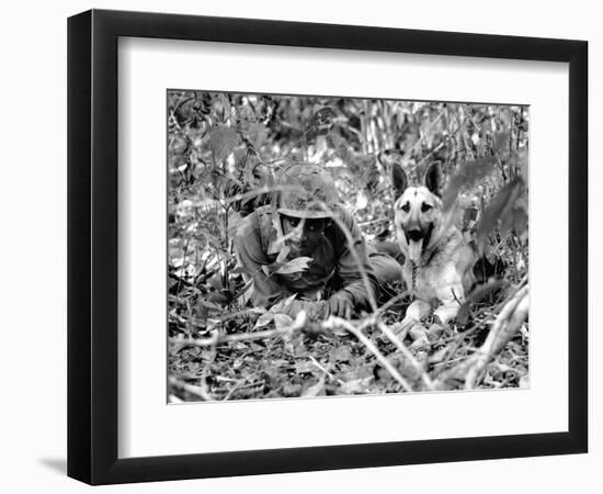 Dogs in Vietnam-Associated Press-Framed Photographic Print