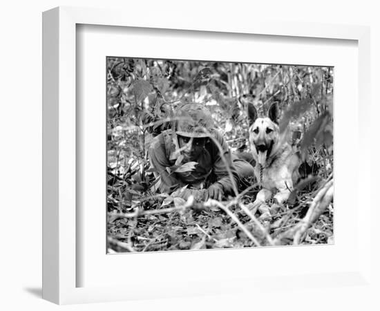 Dogs in Vietnam-Associated Press-Framed Photographic Print