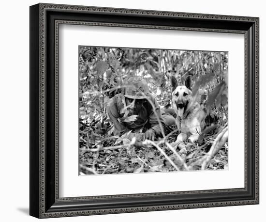 Dogs in Vietnam-Associated Press-Framed Photographic Print