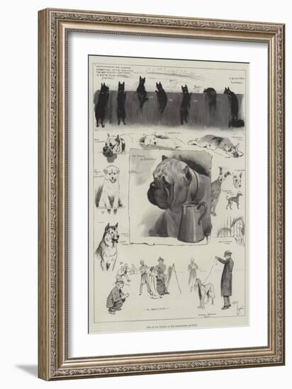 Dogs of All Nations at the Westminster Aquarium-Cecil Aldin-Framed Giclee Print