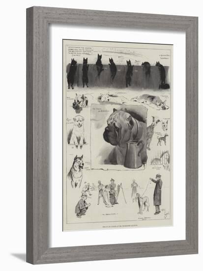 Dogs of All Nations at the Westminster Aquarium-Cecil Aldin-Framed Giclee Print