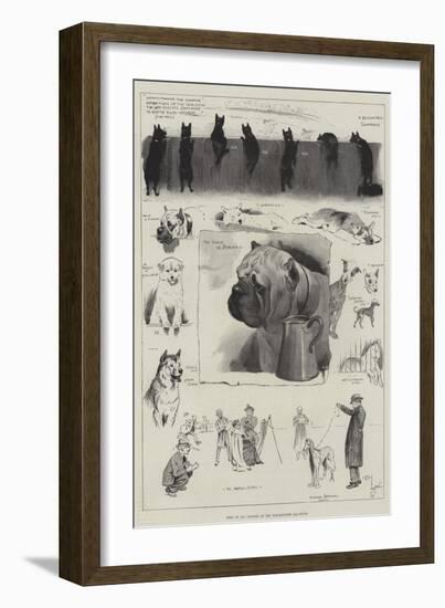 Dogs of All Nations at the Westminster Aquarium-Cecil Aldin-Framed Giclee Print