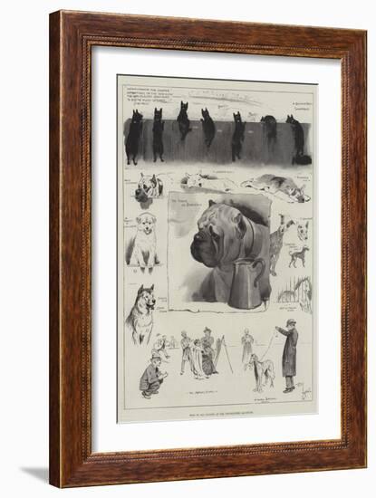 Dogs of All Nations at the Westminster Aquarium-Cecil Aldin-Framed Giclee Print