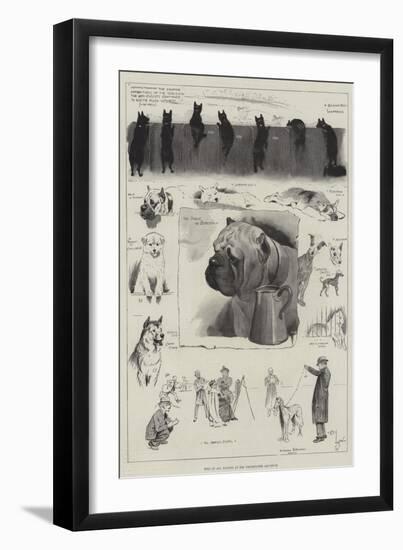 Dogs of All Nations at the Westminster Aquarium-Cecil Aldin-Framed Giclee Print