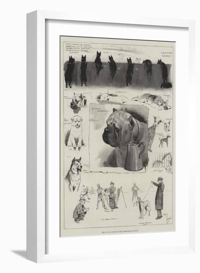 Dogs of All Nations at the Westminster Aquarium-Cecil Aldin-Framed Giclee Print