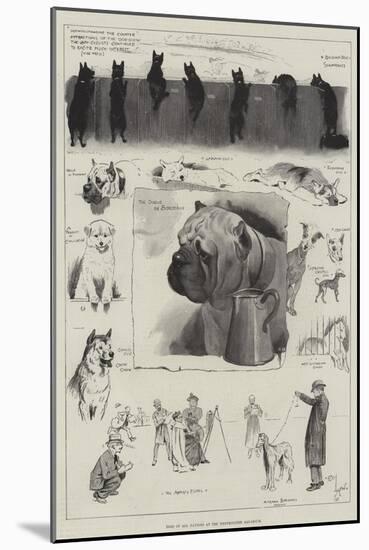 Dogs of All Nations at the Westminster Aquarium-Cecil Aldin-Mounted Giclee Print