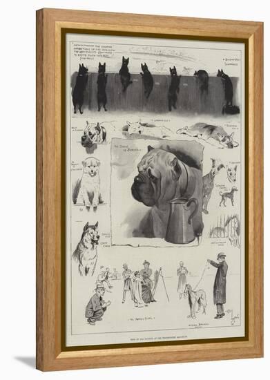 Dogs of All Nations at the Westminster Aquarium-Cecil Aldin-Framed Premier Image Canvas