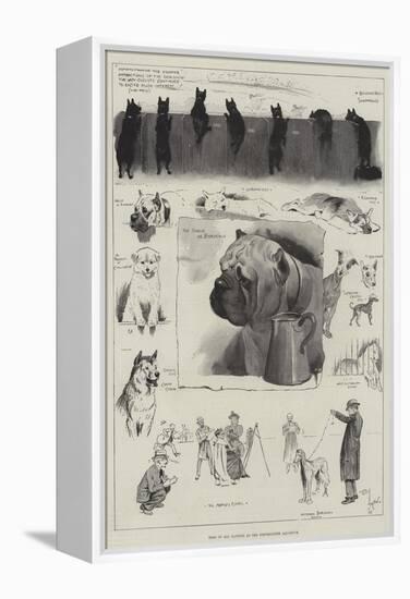 Dogs of All Nations at the Westminster Aquarium-Cecil Aldin-Framed Premier Image Canvas