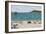 Dogs on Beach and Boat-Sophie Harding-Framed Giclee Print