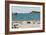 Dogs on Beach and Boat-Sophie Harding-Framed Giclee Print