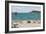 Dogs on Beach and Boat-Sophie Harding-Framed Giclee Print