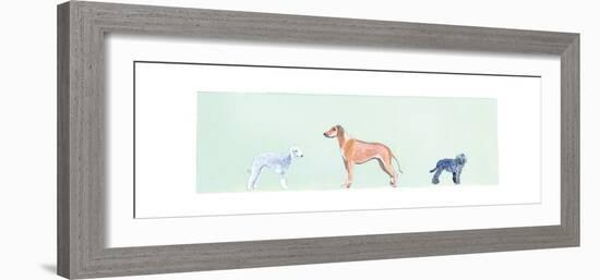 Dogs Panel I-Debbie Nicholas-Framed Photographic Print