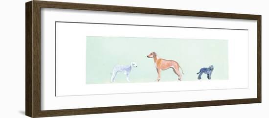 Dogs Panel I-Debbie Nicholas-Framed Photographic Print