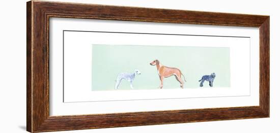 Dogs Panel I-Debbie Nicholas-Framed Photographic Print