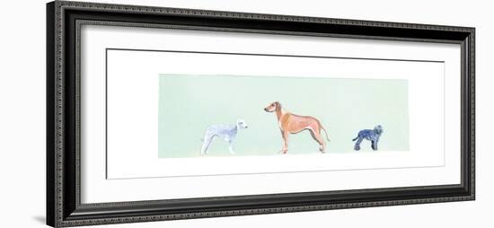 Dogs Panel I-Debbie Nicholas-Framed Photographic Print