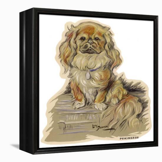 Dogs, Pekingese, Dawson-Lucy Dawson-Framed Stretched Canvas