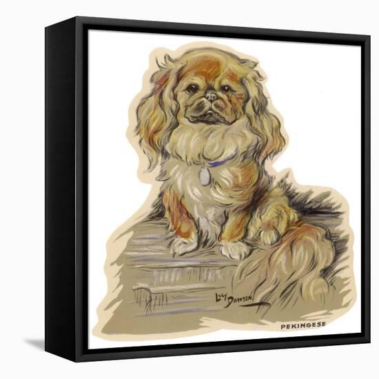 Dogs, Pekingese, Dawson-Lucy Dawson-Framed Stretched Canvas