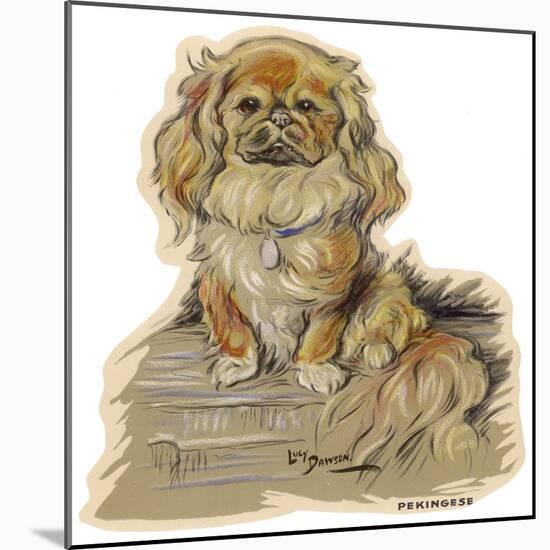 Dogs, Pekingese, Dawson-Lucy Dawson-Mounted Art Print