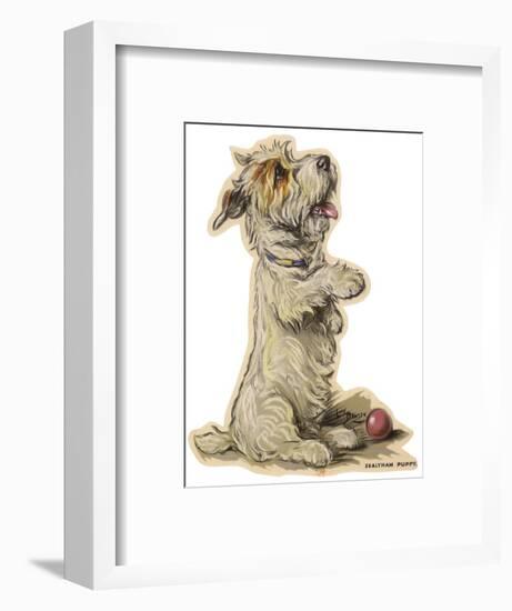 Dogs, Sealyham, Dawson-Lucy Dawson-Framed Photographic Print