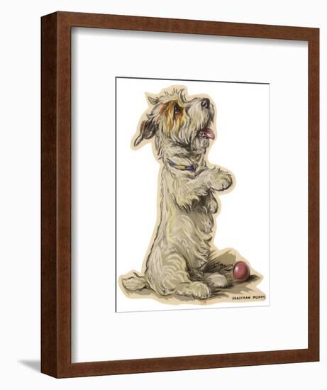 Dogs, Sealyham, Dawson-Lucy Dawson-Framed Photographic Print