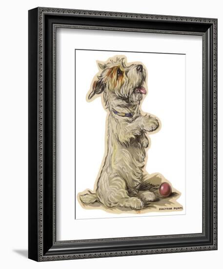 Dogs, Sealyham, Dawson-Lucy Dawson-Framed Photographic Print