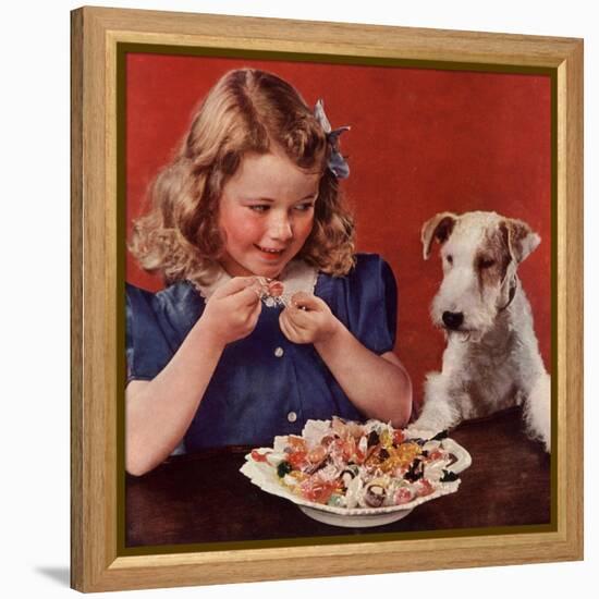 Dogs Sweets, USA, 1950-null-Framed Premier Image Canvas