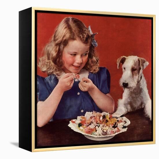 Dogs Sweets, USA, 1950-null-Framed Premier Image Canvas