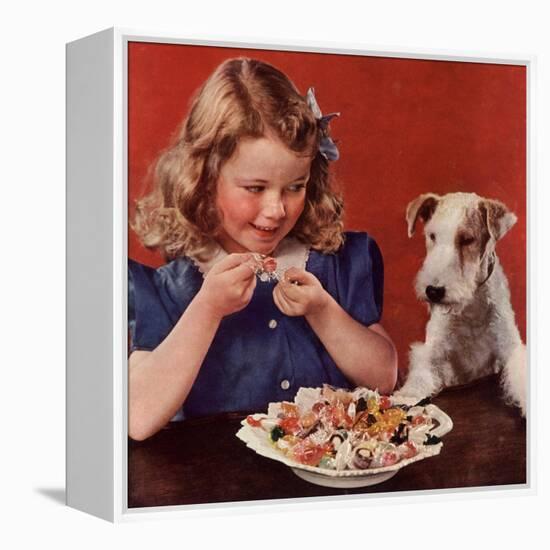 Dogs Sweets, USA, 1950-null-Framed Premier Image Canvas