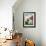 Dogs Welcome Vermont-Stephen Huneck-Framed Giclee Print displayed on a wall