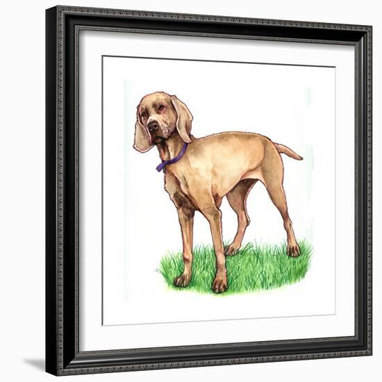 Dogs - Wiemeraner-Wendy Edelson-Framed Giclee Print