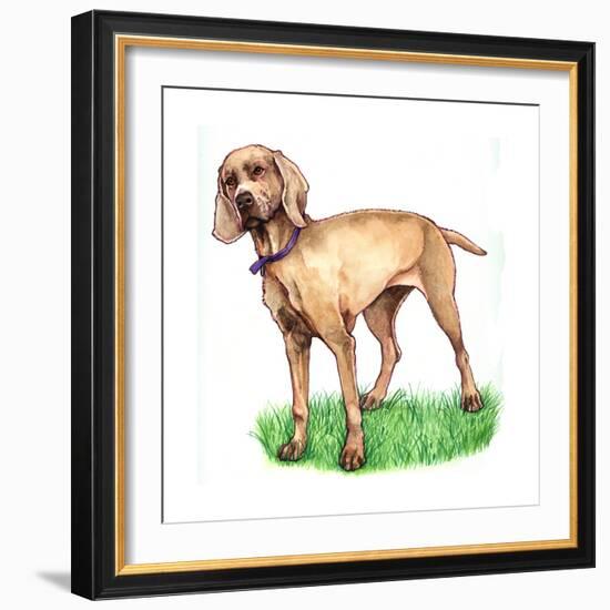 Dogs - Wiemeraner-Wendy Edelson-Framed Giclee Print