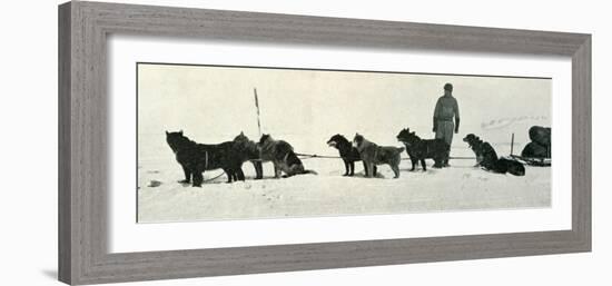 'Dogs with Stores About to Leave Hut Point', c1911, (1913)-Herbert Ponting-Framed Photographic Print