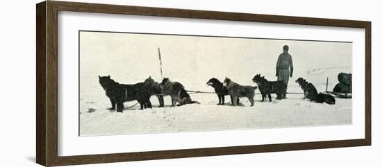 'Dogs with Stores About to Leave Hut Point', c1911, (1913)-Herbert Ponting-Framed Photographic Print