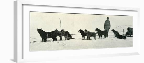 'Dogs with Stores About to Leave Hut Point', c1911, (1913)-Herbert Ponting-Framed Photographic Print