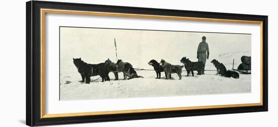 'Dogs with Stores About to Leave Hut Point', c1911, (1913)-Herbert Ponting-Framed Photographic Print