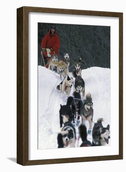 Dogsled Scene-Lantern Press-Framed Art Print