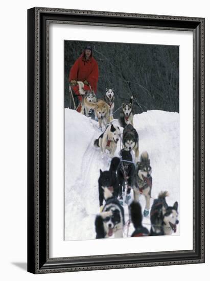 Dogsled Scene-Lantern Press-Framed Art Print