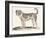 Dogue, 1850 (Engraving)-Louis Simon (1810-1870) Lassalle-Framed Giclee Print