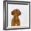 Dogue De Bordeaux Dog Puppy, 15 Weeks Old, Sitting and Looking Up-Jane Burton-Framed Photographic Print