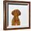 Dogue De Bordeaux Dog Puppy, 15 Weeks Old, Sitting and Looking Up-Jane Burton-Framed Photographic Print