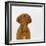 Dogue De Bordeaux Dog Puppy, 15 Weeks Old, Sitting and Looking Up-Jane Burton-Framed Photographic Print