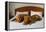 Dogue De Bordeaux Funny Couple In The Bed-vitalytitov-Framed Premier Image Canvas