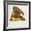 Dogue De Bordeaux Puppy Chewing on Toy, 15 Weeks-Jane Burton-Framed Photographic Print