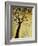 Dogwood at Dusk I-Kari Taylor-Framed Giclee Print