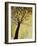 Dogwood at Dusk I-Kari Taylor-Framed Giclee Print