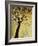 Dogwood at Dusk I-Kari Taylor-Framed Giclee Print