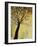 Dogwood at Dusk I-Kari Taylor-Framed Giclee Print